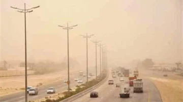 الأرصاد تعلن درجات الحرارة وحالة الطقس المفصلة ليوم الخميس 11 ديسمبر 2025